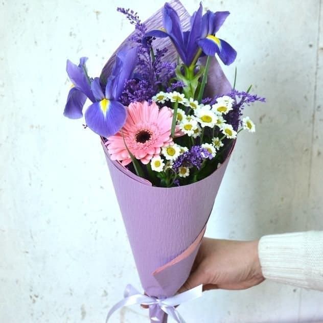 Красотка от 2 610 руб.